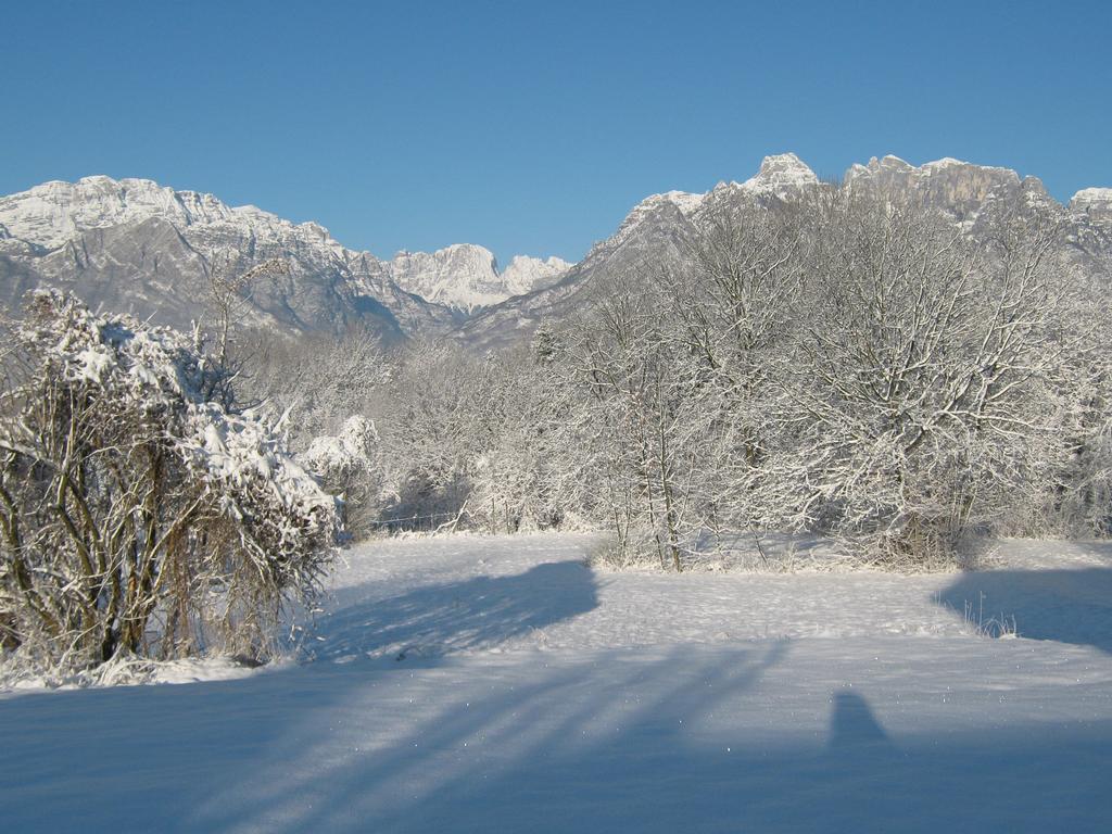 B&B Col Del Vin Belluno Extérieur photo
