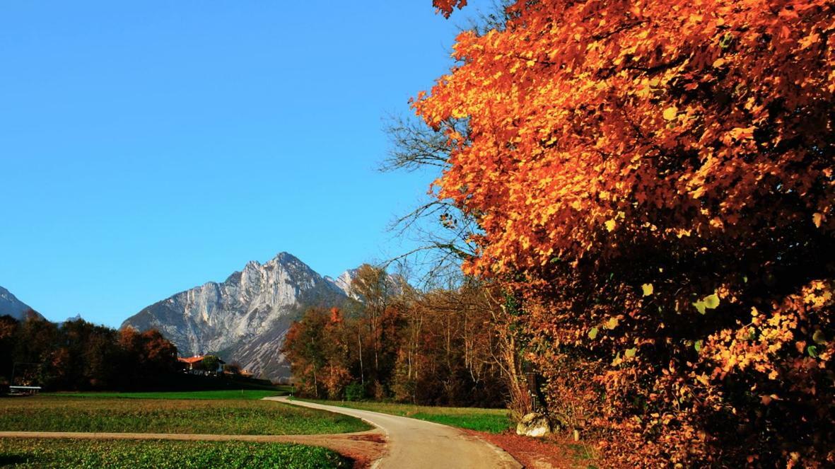 B&B Col Del Vin Belluno Extérieur photo