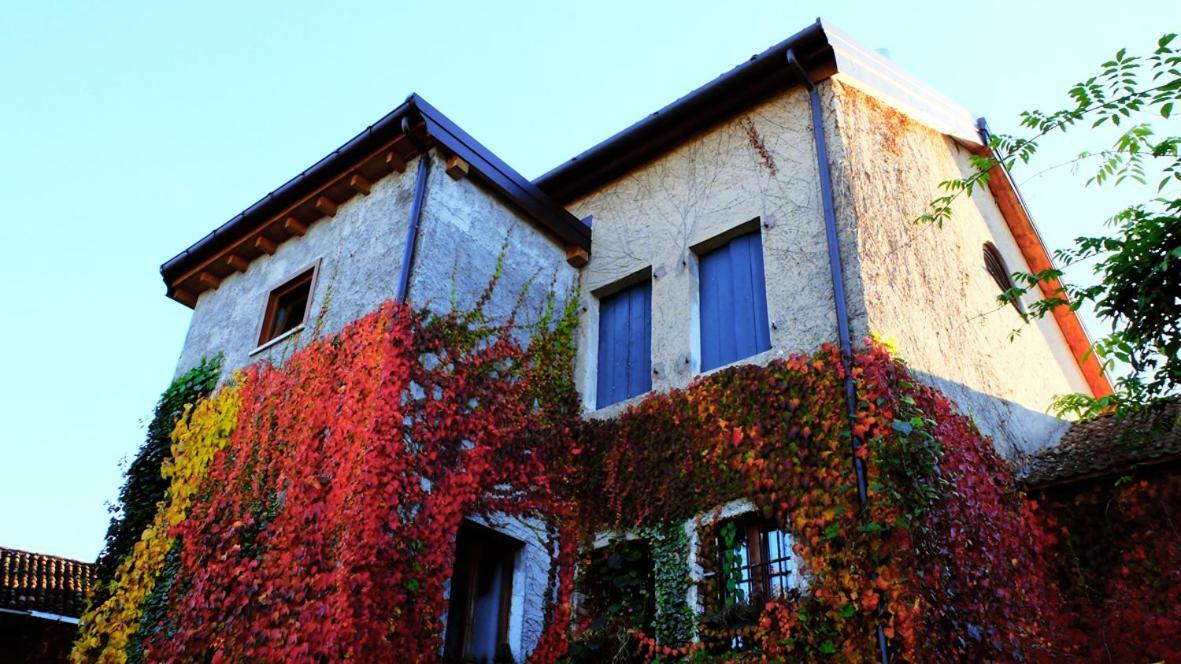 B&B Col Del Vin Belluno Extérieur photo